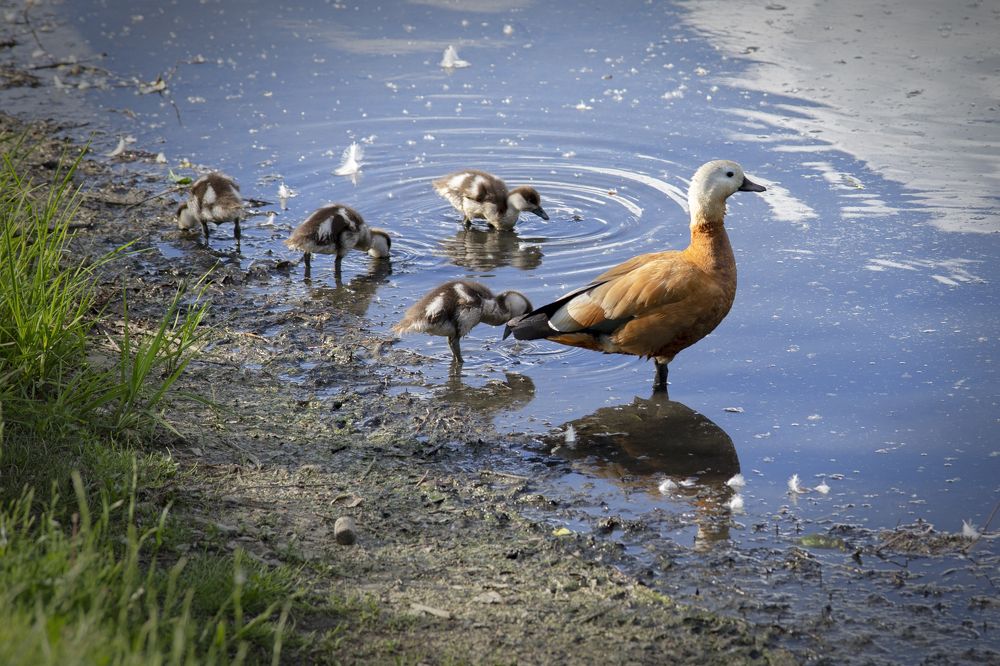 Photograph by Екатерина Рябинина