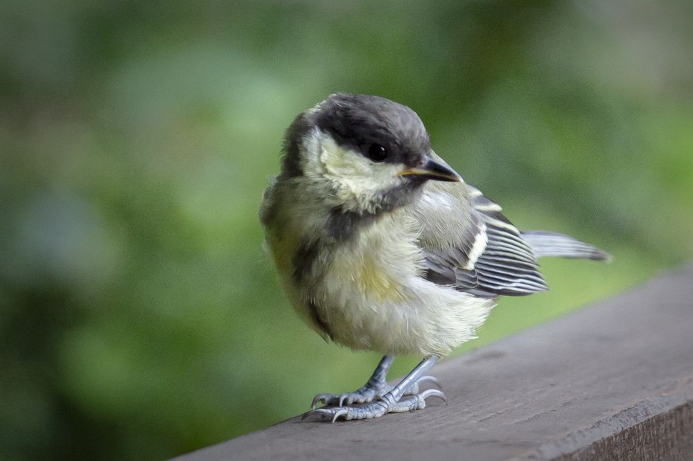 Photograph by Екатерина Рябинина