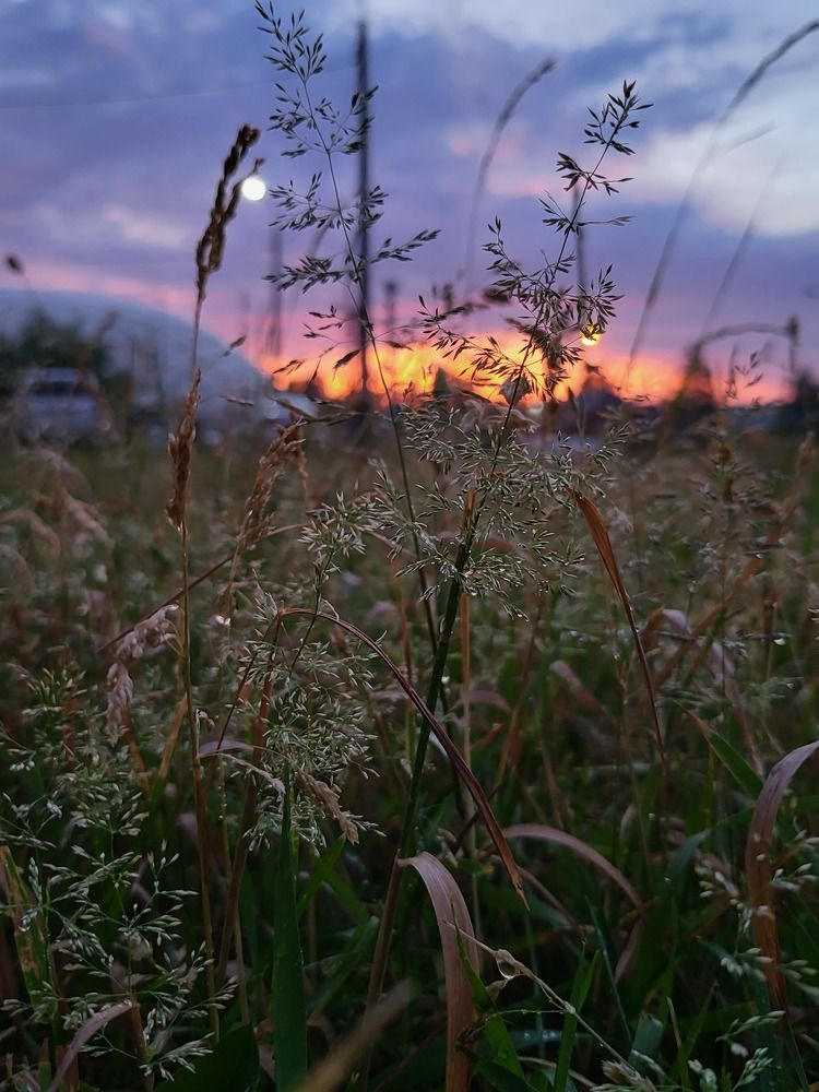 Photograph by Ирина Кртина