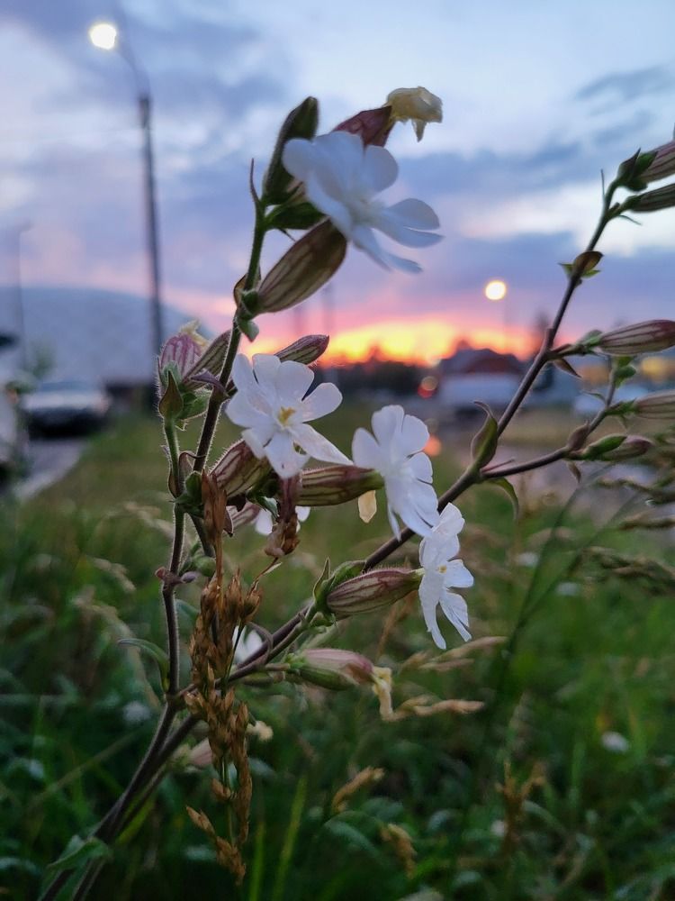 Photograph by Ирина Кртина