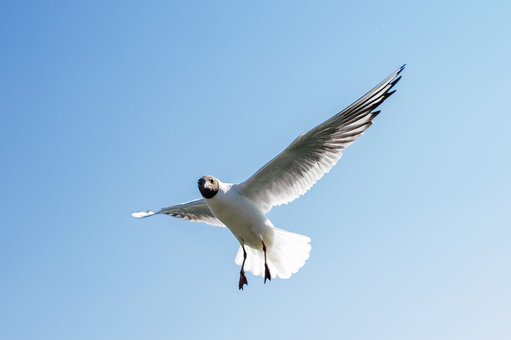 Photograph by Станислава Гордеева