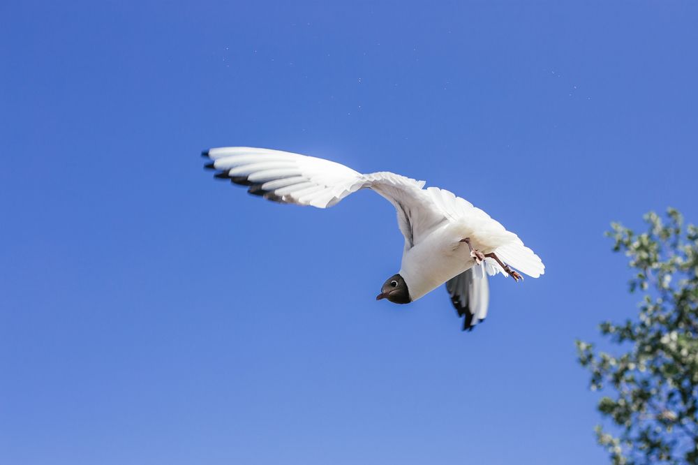 Фотография автора Станислава Гордеева