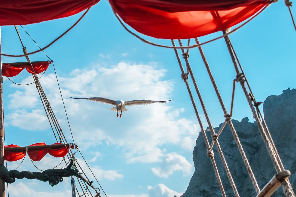 Фотография автора OXANA MARSOVA