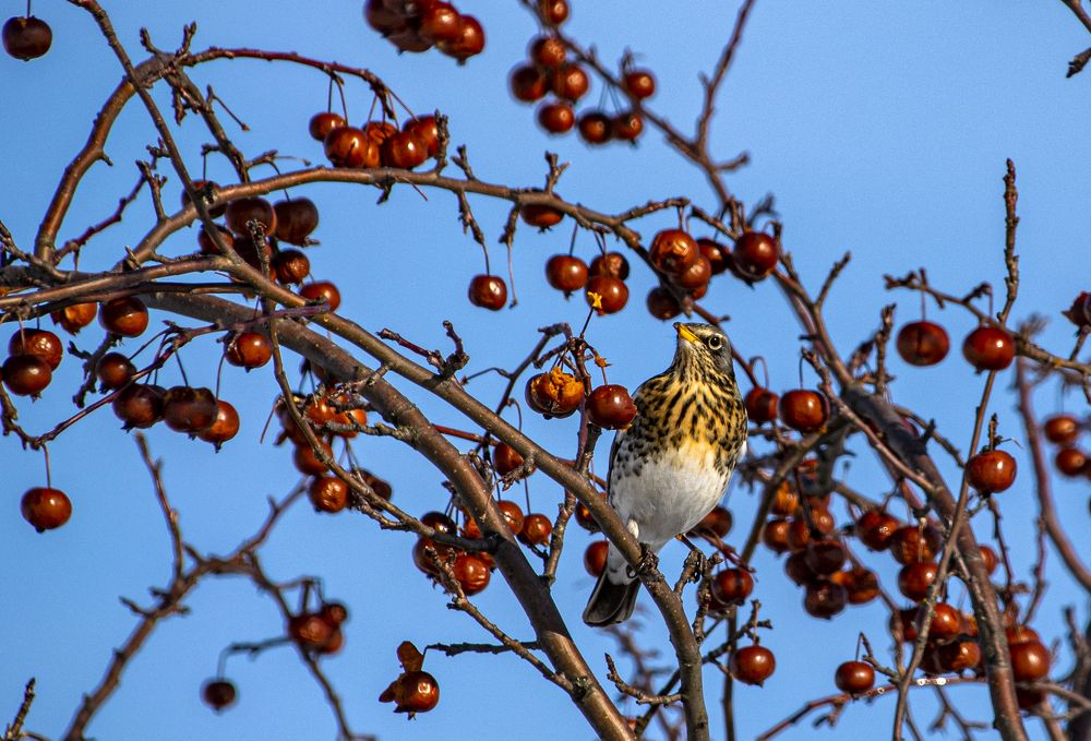 Photograph by Елена Чудиновских