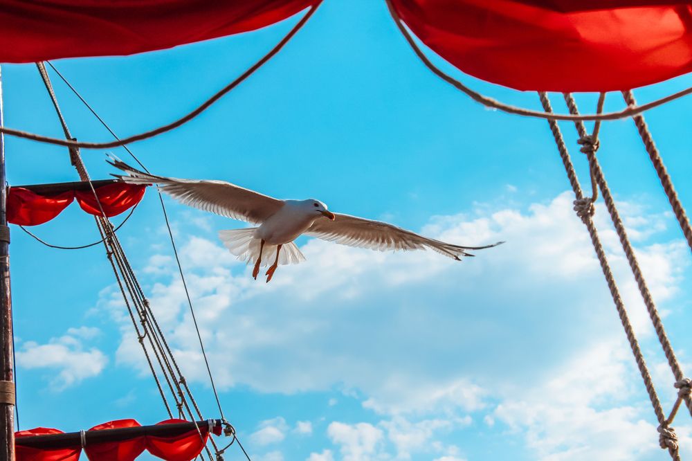 Фотография автора OXANA MARSOVA