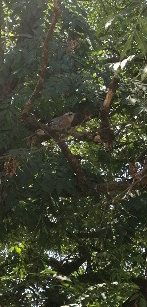 Photograph by Мила Мит