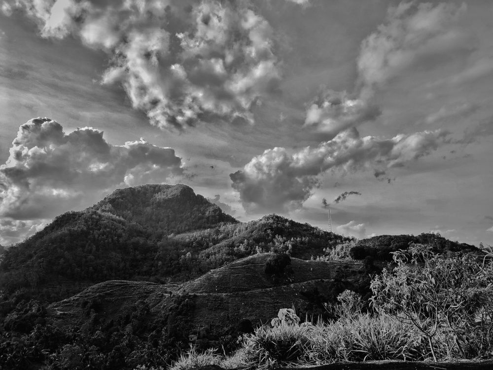 Photograph by Buddhika Dinuranga