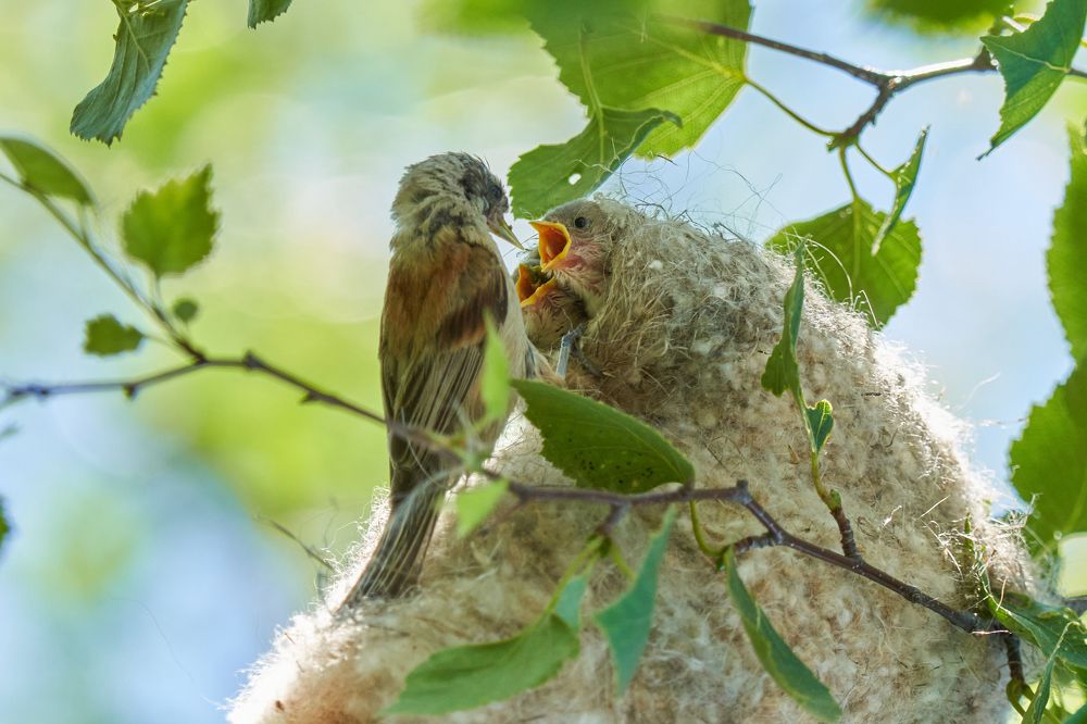 Photograph by Игорь Травкин