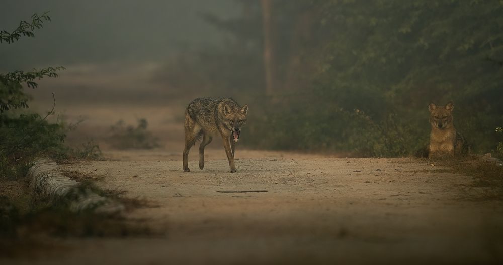 Trespassers Will Be Prosecuted