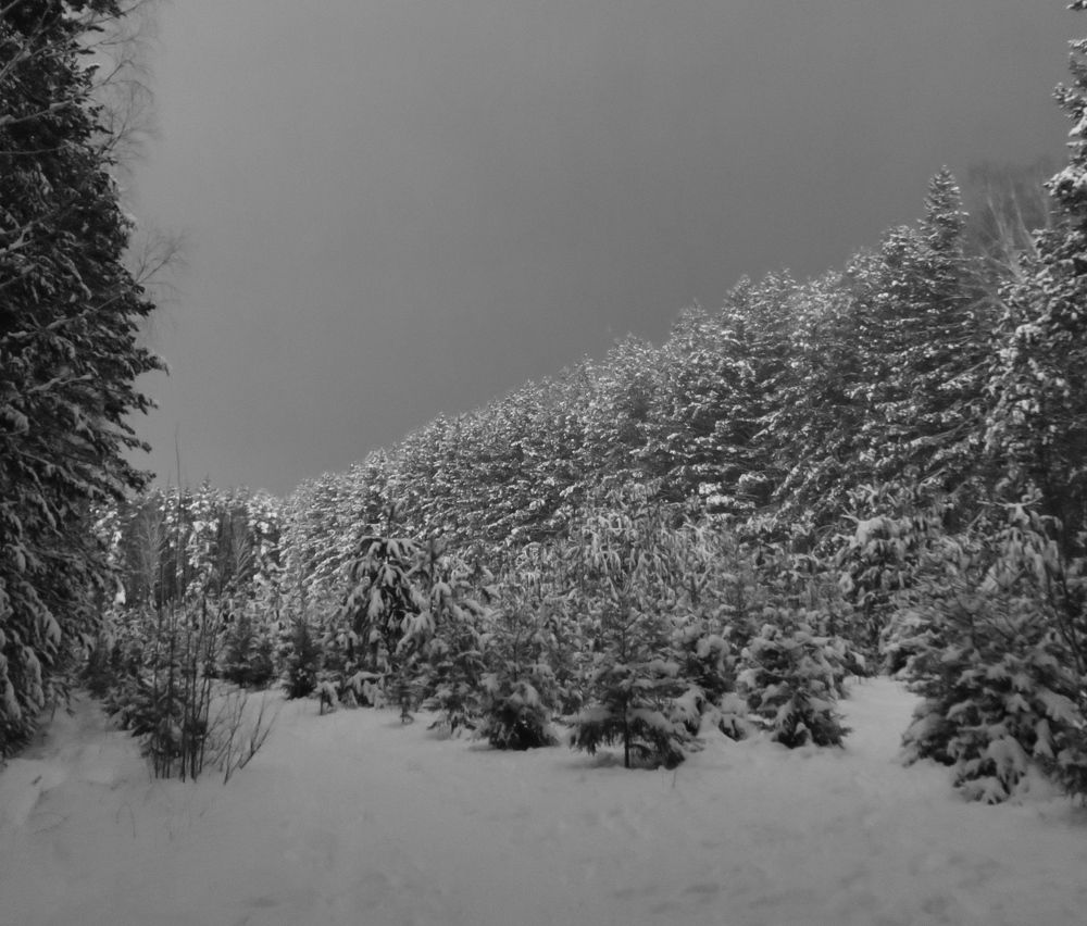 Photograph by Юлия Майкова
