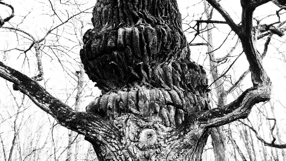 Photograph by Igor Glazistov