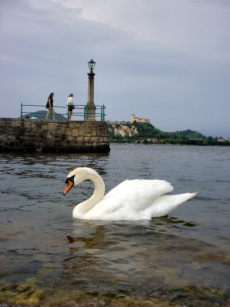 Фотография автора Dmitry