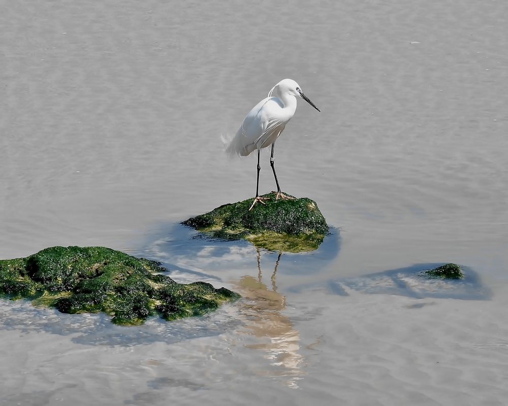 Фотография автора Dmitry