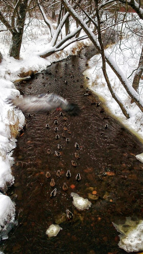 Photograph by Надежда