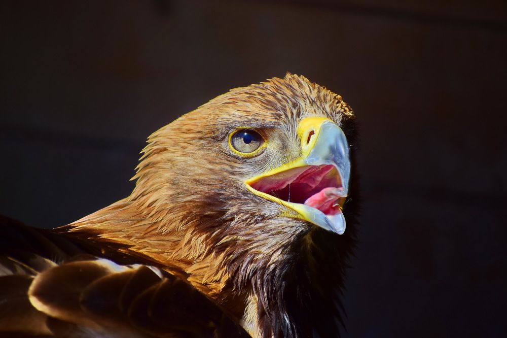 Фотография автора лилия беланова