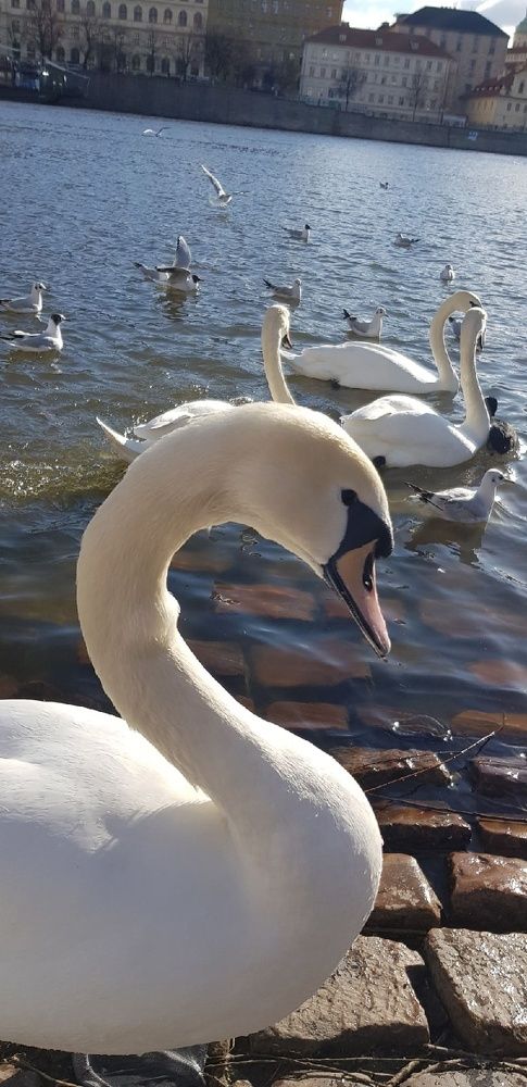 Фотография автора Ольга Мусина