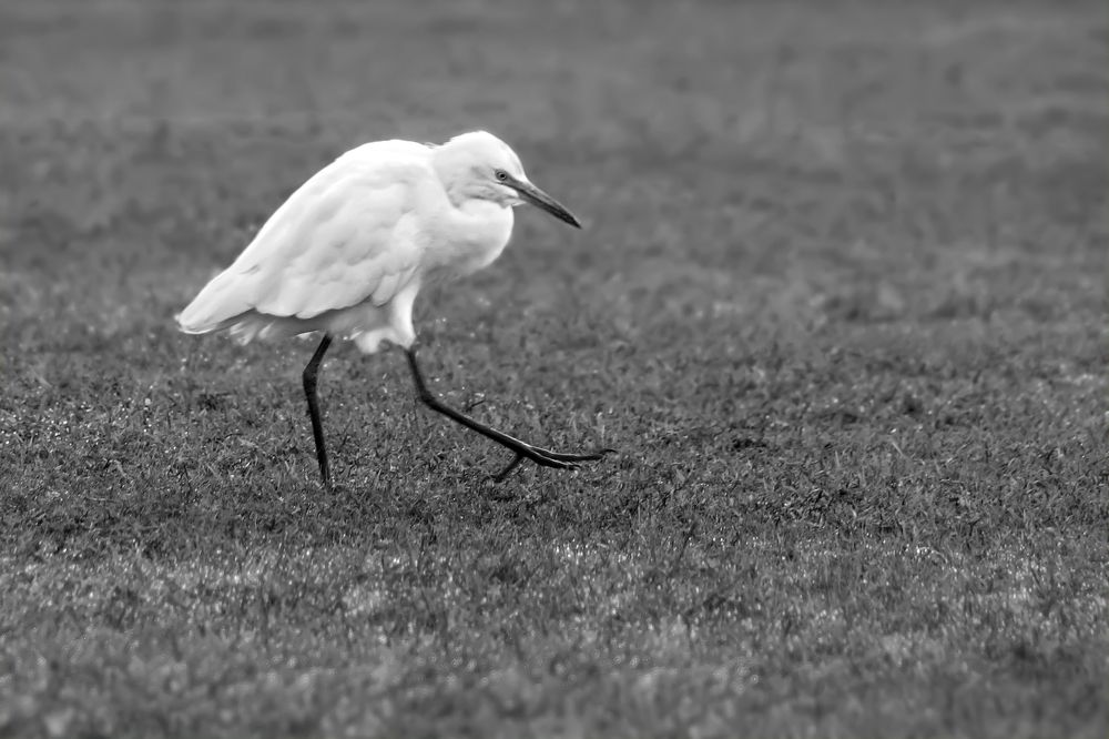 Photograph by Павел Колеснев