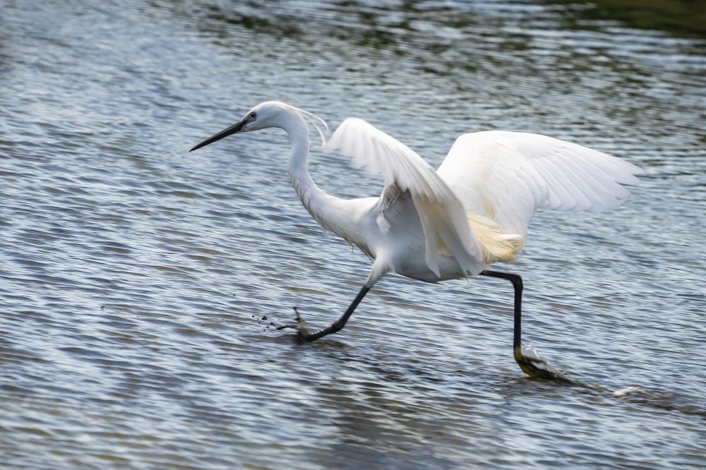 Photograph by Дария Максимова