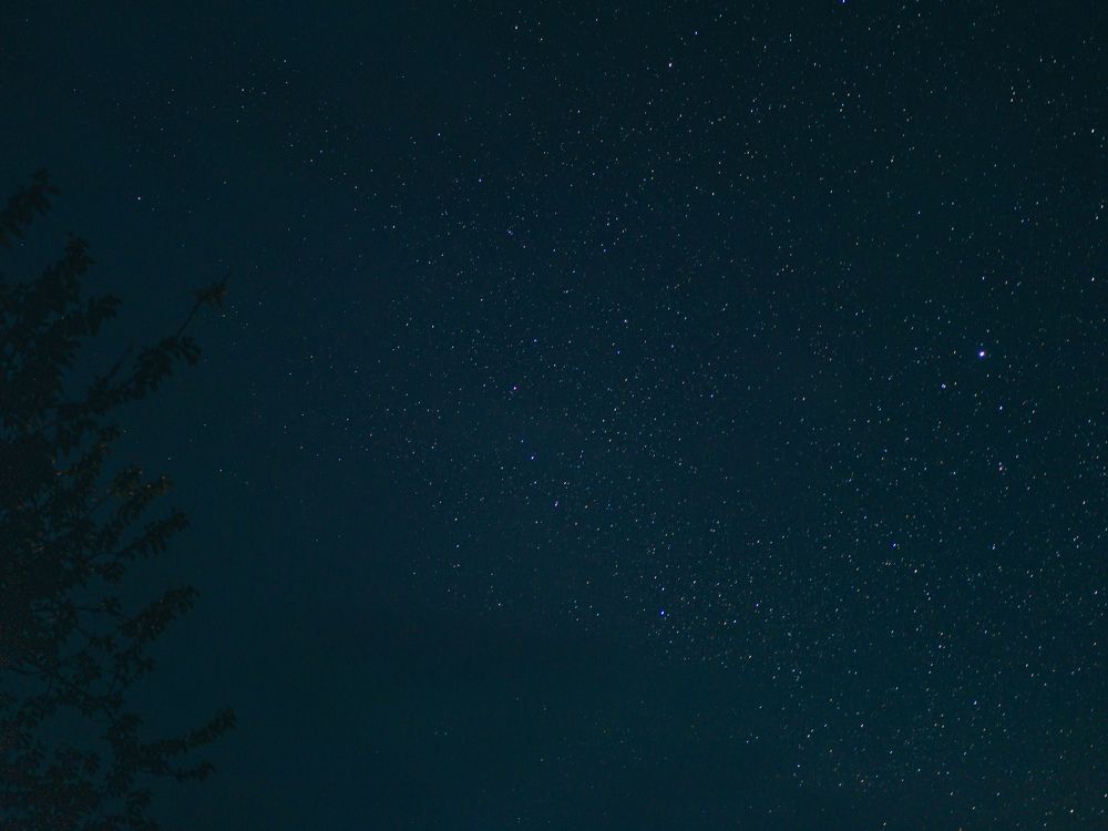 Photograph by Дмитрий Головко