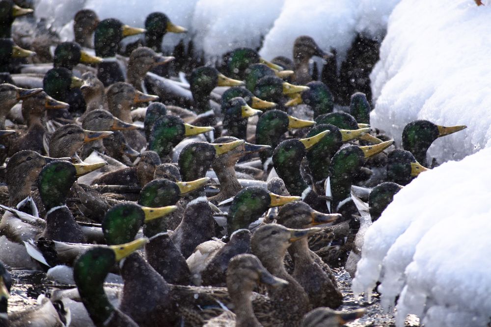 Photograph by Андрей Смирнов