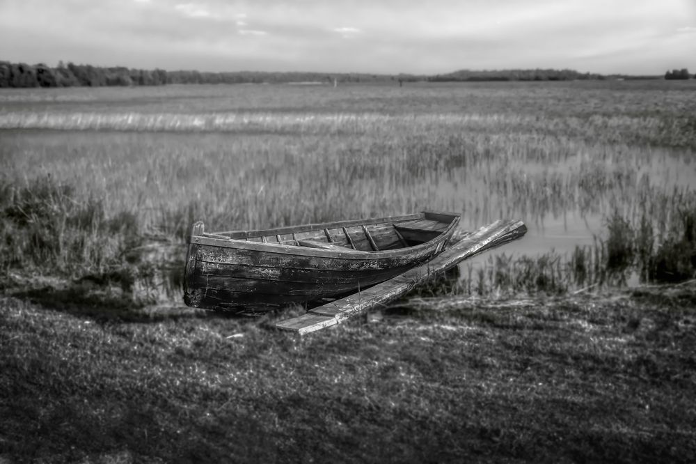 Photograph by Юрий Левко