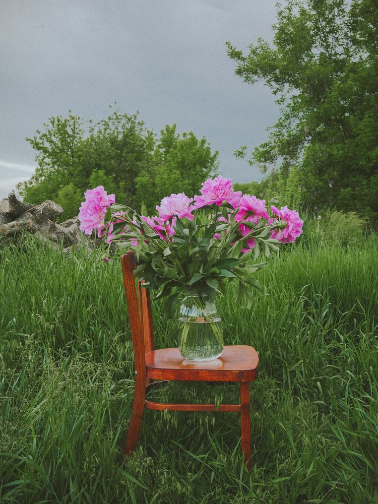 Photograph by Дмитрий Головко