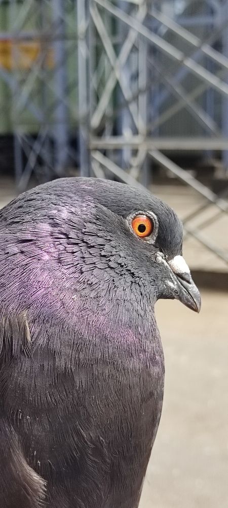 Photograph by Валентин Волк