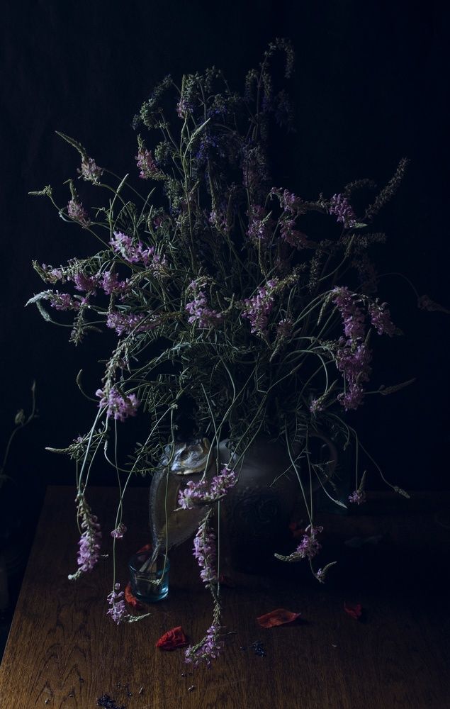 Photograph by Светлана Целикова