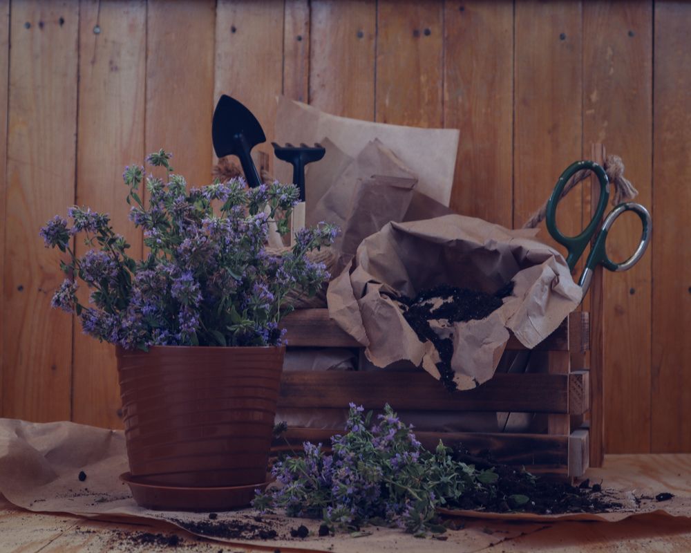 Photograph by Анна Чичилова