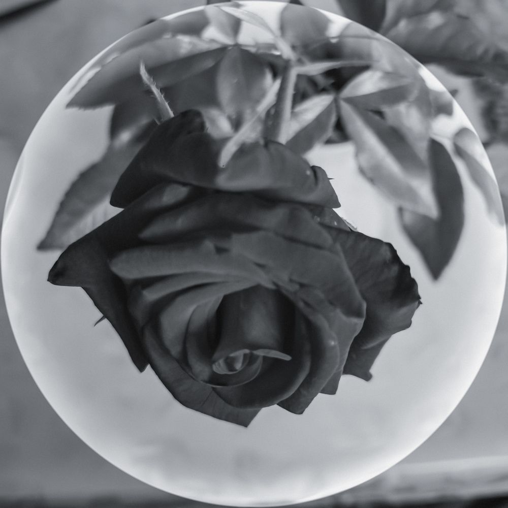 Photograph by Татьяна Желобкова