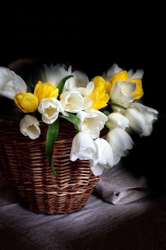 Photograph by Ирина Тимонина