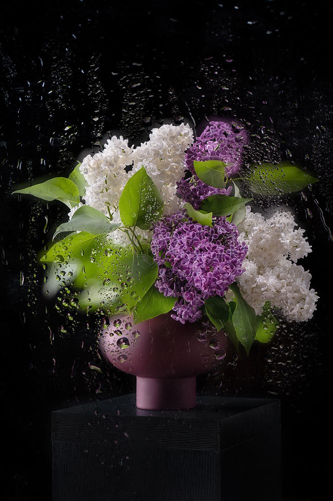 Фотография автора Ольга ЯR