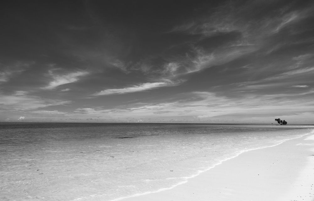 Photograph by SUKALPA SARKAR