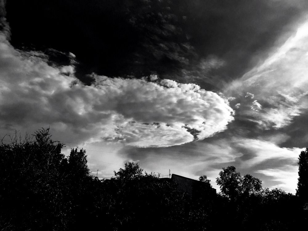 Photograph by Елена Ким