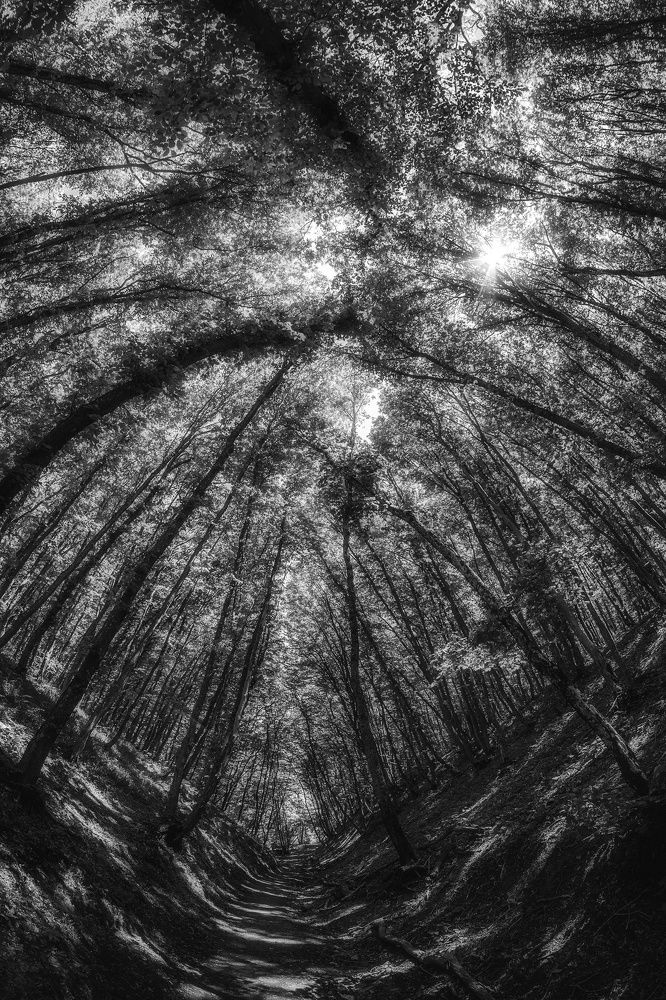 Photograph by Рымаров Александр