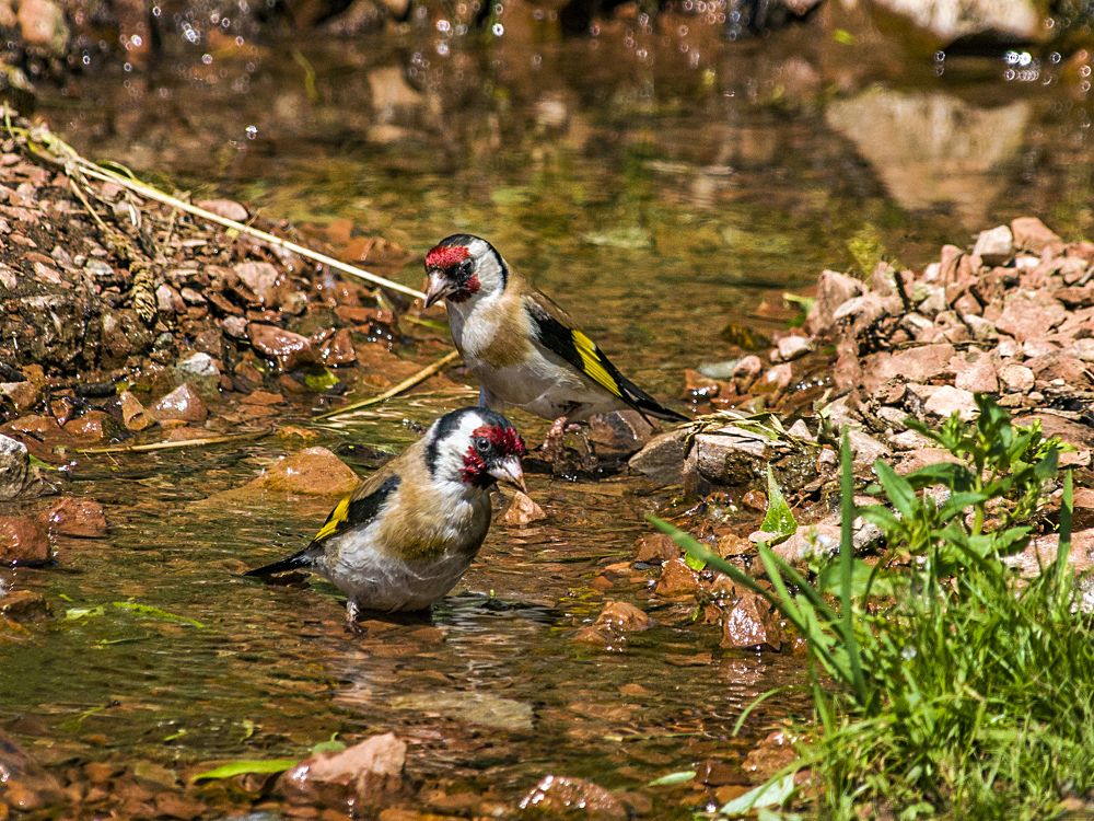 Photograph by Елена Чудиновских