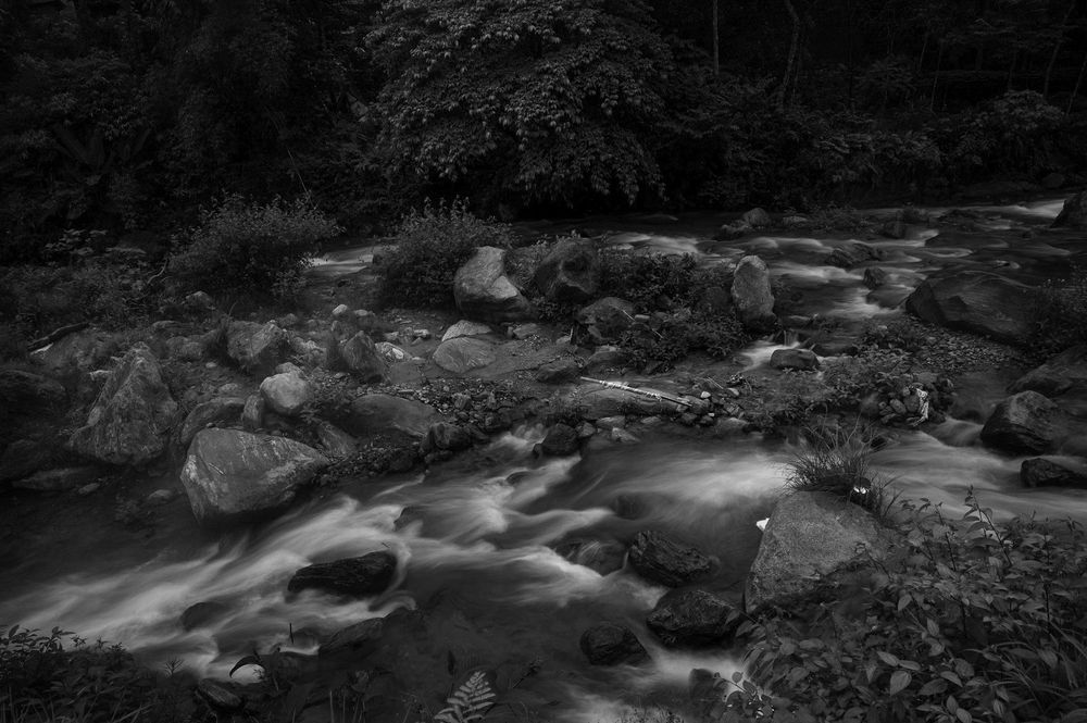 Photograph by SUKALPA SARKAR