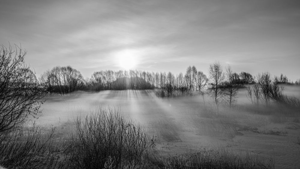 Photograph by Василий Арлашов