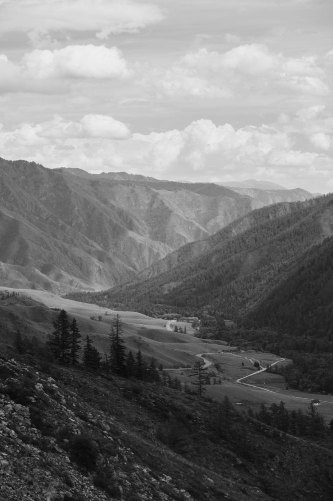 Photograph by Владимир Тарасов