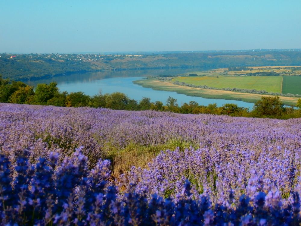 Photograph by Людмилка Лл