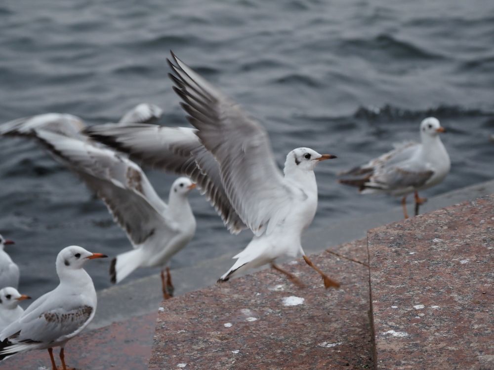 Photograph by Сергей Борисов