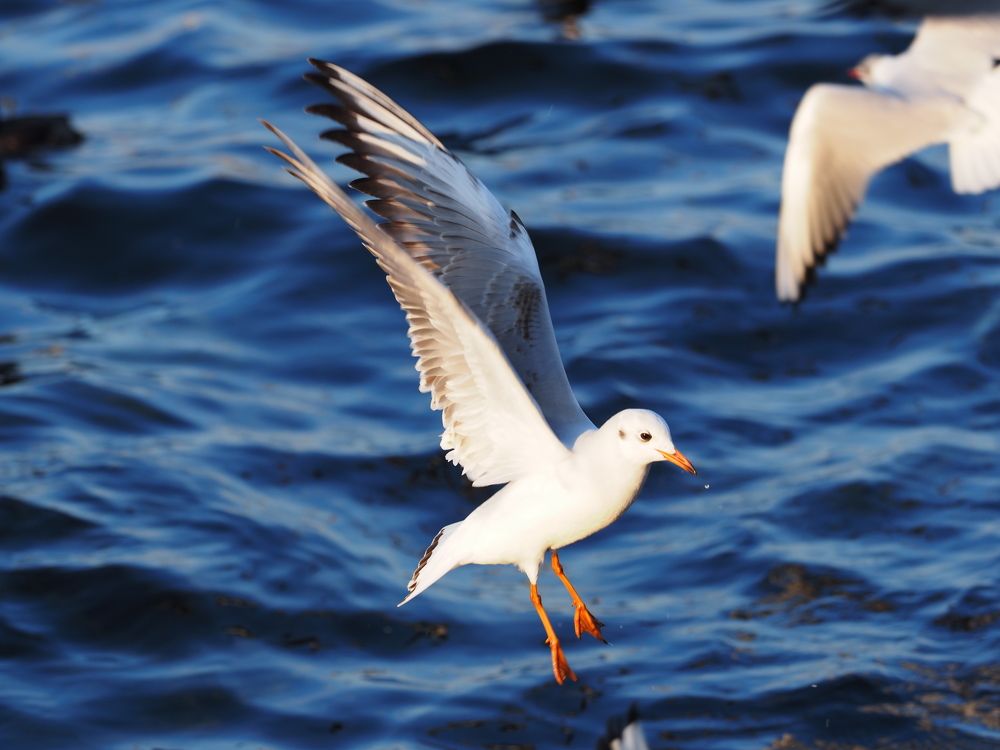 Photograph by Сергей Борисов