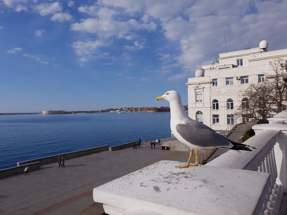 Photograph by Сергей Борисов