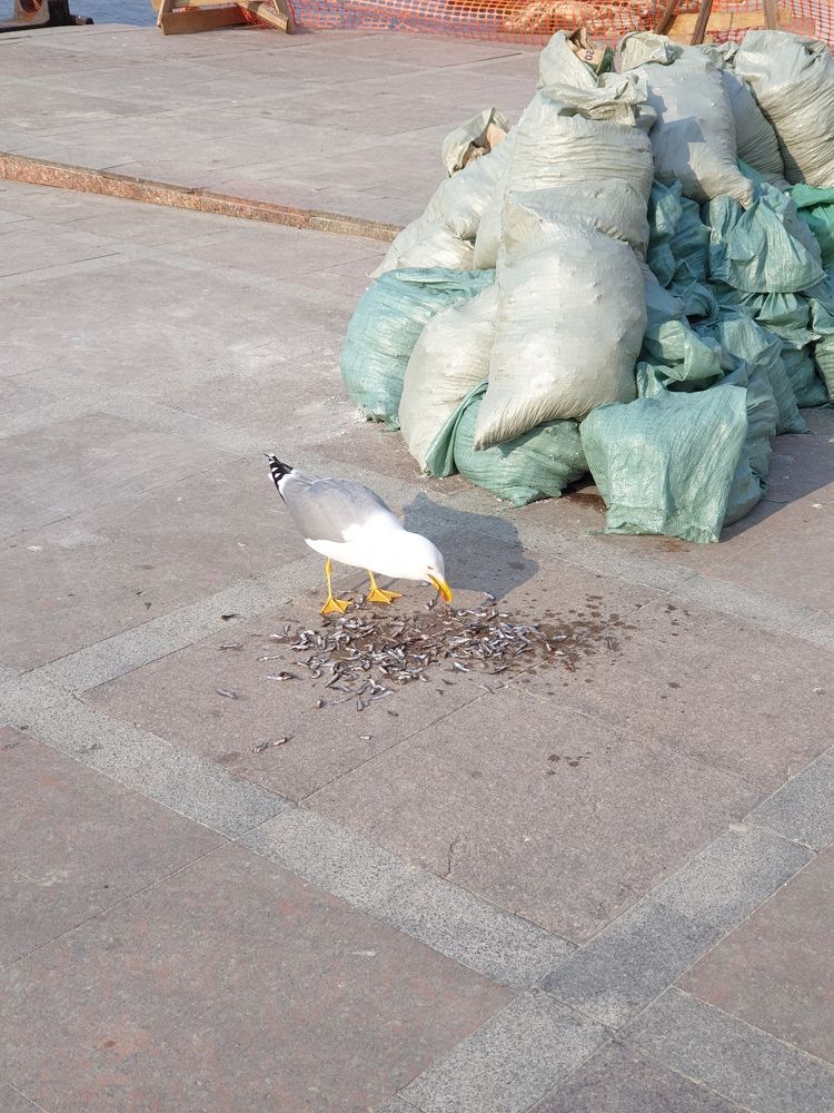 Photograph by Сергей Борисов