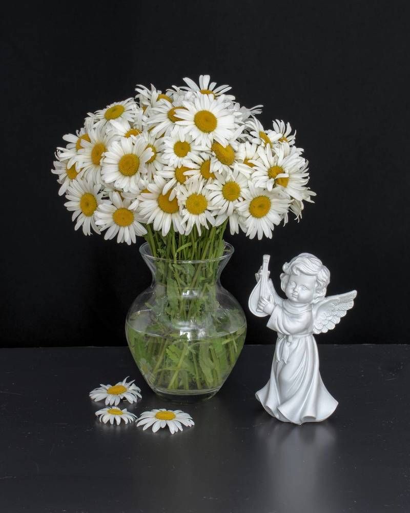 Photograph by Николай Чичерин