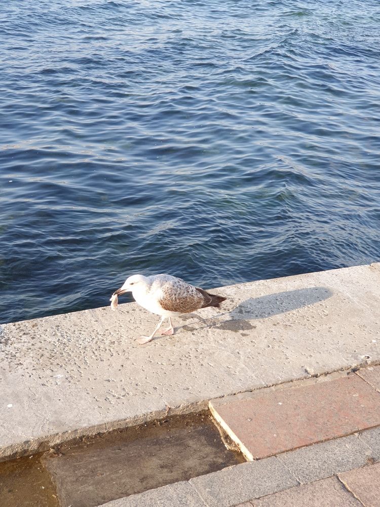 Photograph by Сергей Борисов