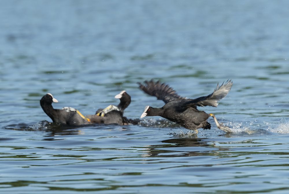 Photograph by Олег Милеев (Каминцев)