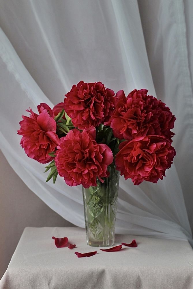 Photograph by Наталья Гусева