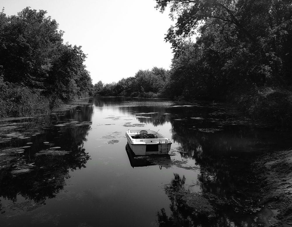 Photograph by Людмила М