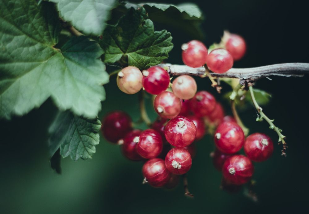 Photograph by Сергей Антонюк